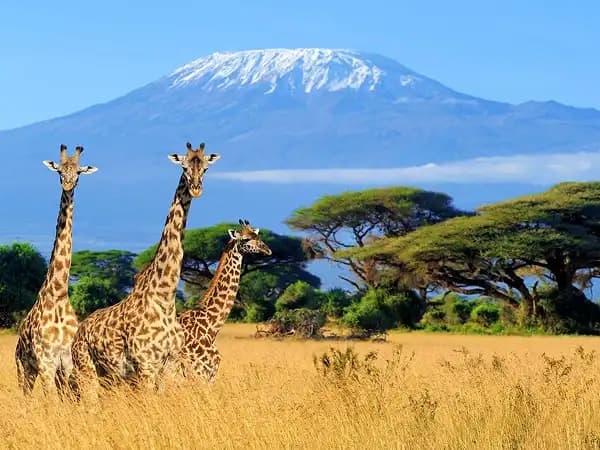 Tanzania